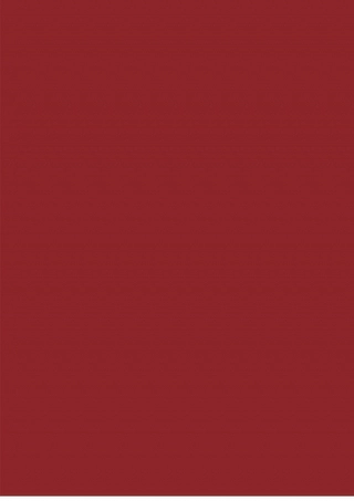 1 (55).docx