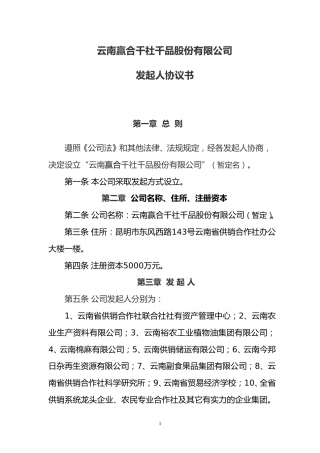 发起人协议书.doc