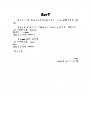 公司执行董事兼法定代表人--任命书.doc