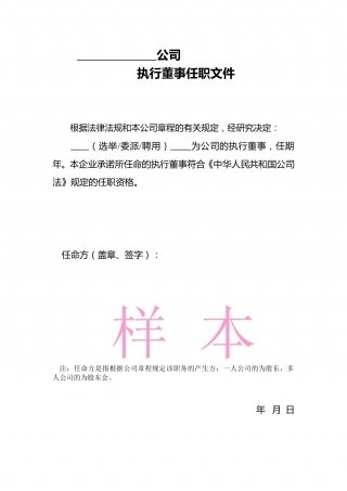 公司执行董事任职文件.doc