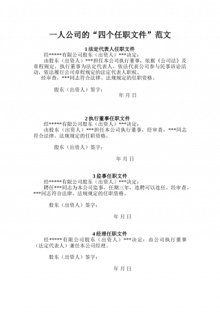 一人公司的四个任职文件.doc