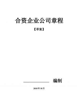合资企业公司章程.doc