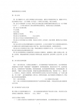 集团有限责任公司章程.doc