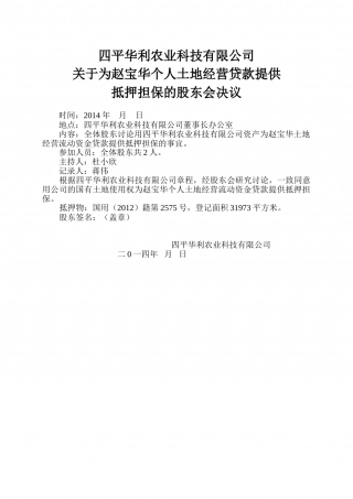 担保贷款股东会决议.doc