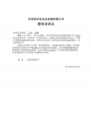 公司贷款股东会决议.doc
