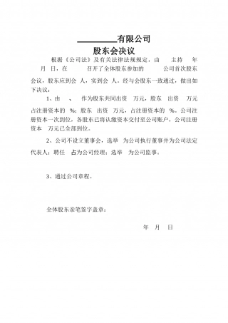 公司设立首次股东会决议.doc