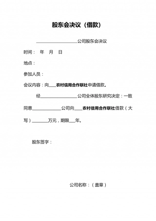 股东会决议(借款).doc