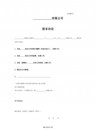 股东决定.docx