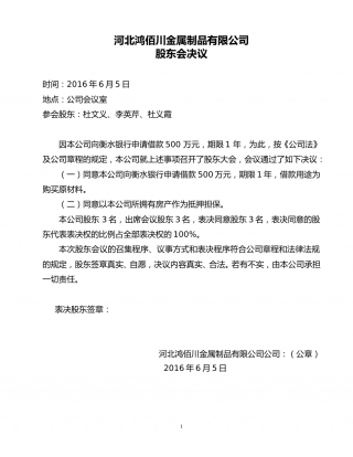借款的股东会决议.doc