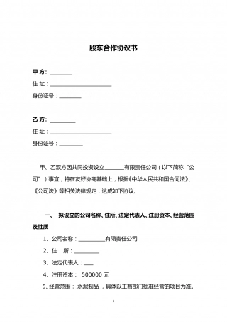 二人股份公司合作协议.doc