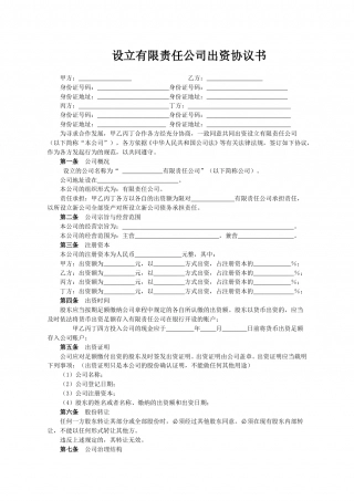 公司股东出资协议书.doc