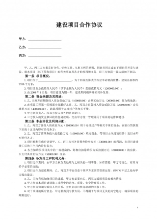 建设项目合作协议.doc