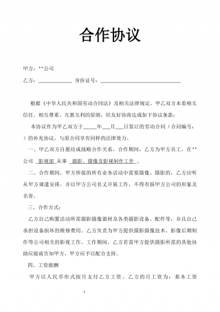 摄影合作协议范本.docx