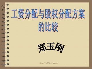 工资分配及股权分配方案.ppt