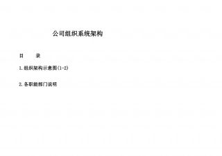 公司组织架构图及其说明.doc