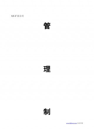 29-公司管理制度（适用于矿业公司）.doc