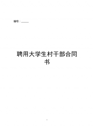 聘用大学生村干部合同书.doc