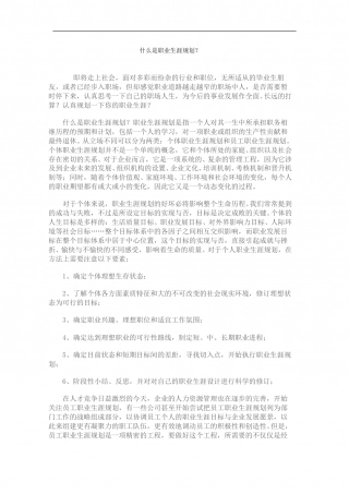 什么是职业生涯规划.doc
