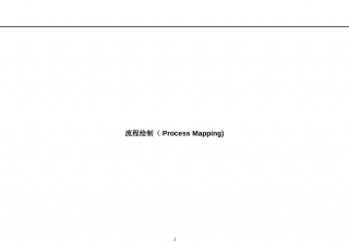 罗兰贝格-----流程绘制工具.ppt
