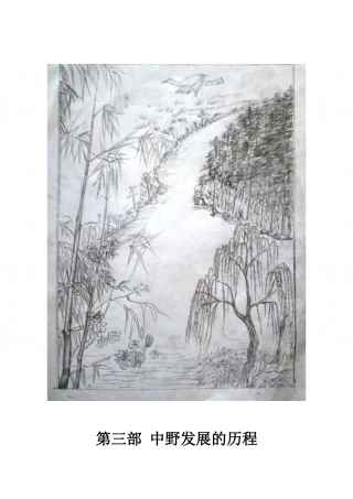 第三部 中野发展的历程.doc