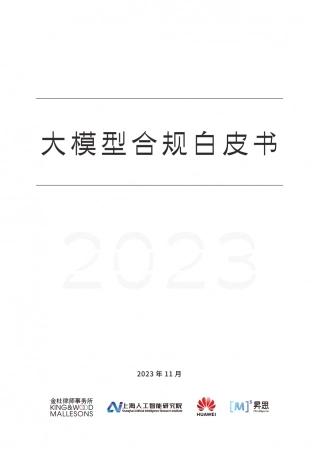 大模型行业合规白皮书.pdf