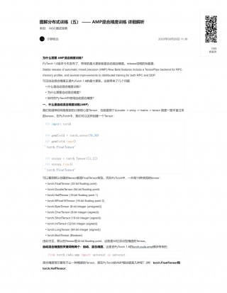 49-图解分布式训练（五） —— AMP混合精度训练 详细解析.pdf