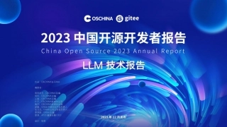 中国开源开发者报告-LLM技术报告.pdf
