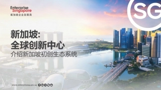 新加坡初创生态系统.pdf