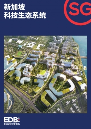 新加坡科技生态系统.pdf
