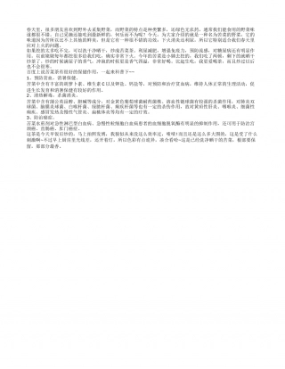 春季去火保健茶 消炎下火很正点早春.txt