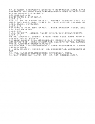 冬季上火四症状 饮食降火效果好隆冬.txt