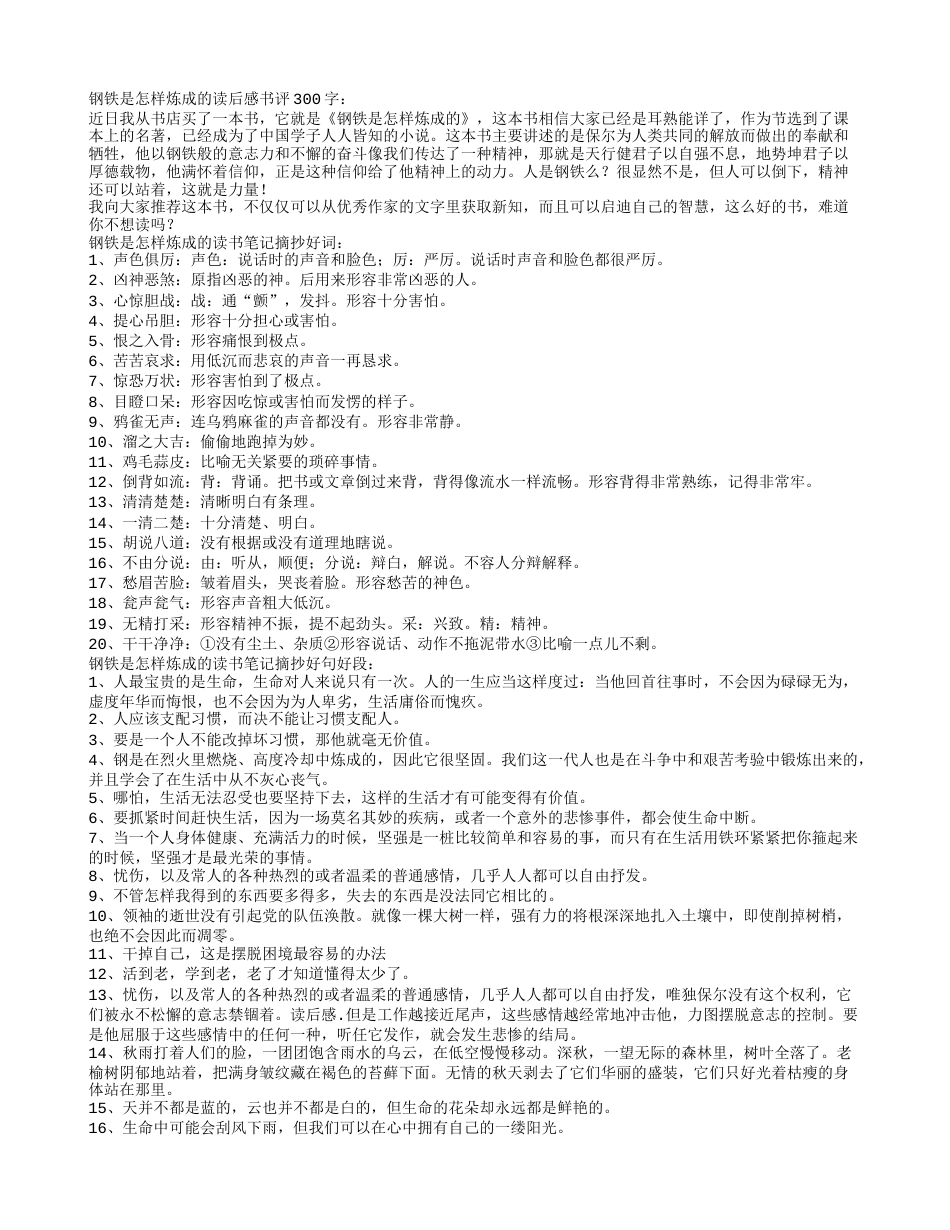 钢铁是怎样炼成的好词好句读书笔记摘抄及读后感书评.txt_第1页