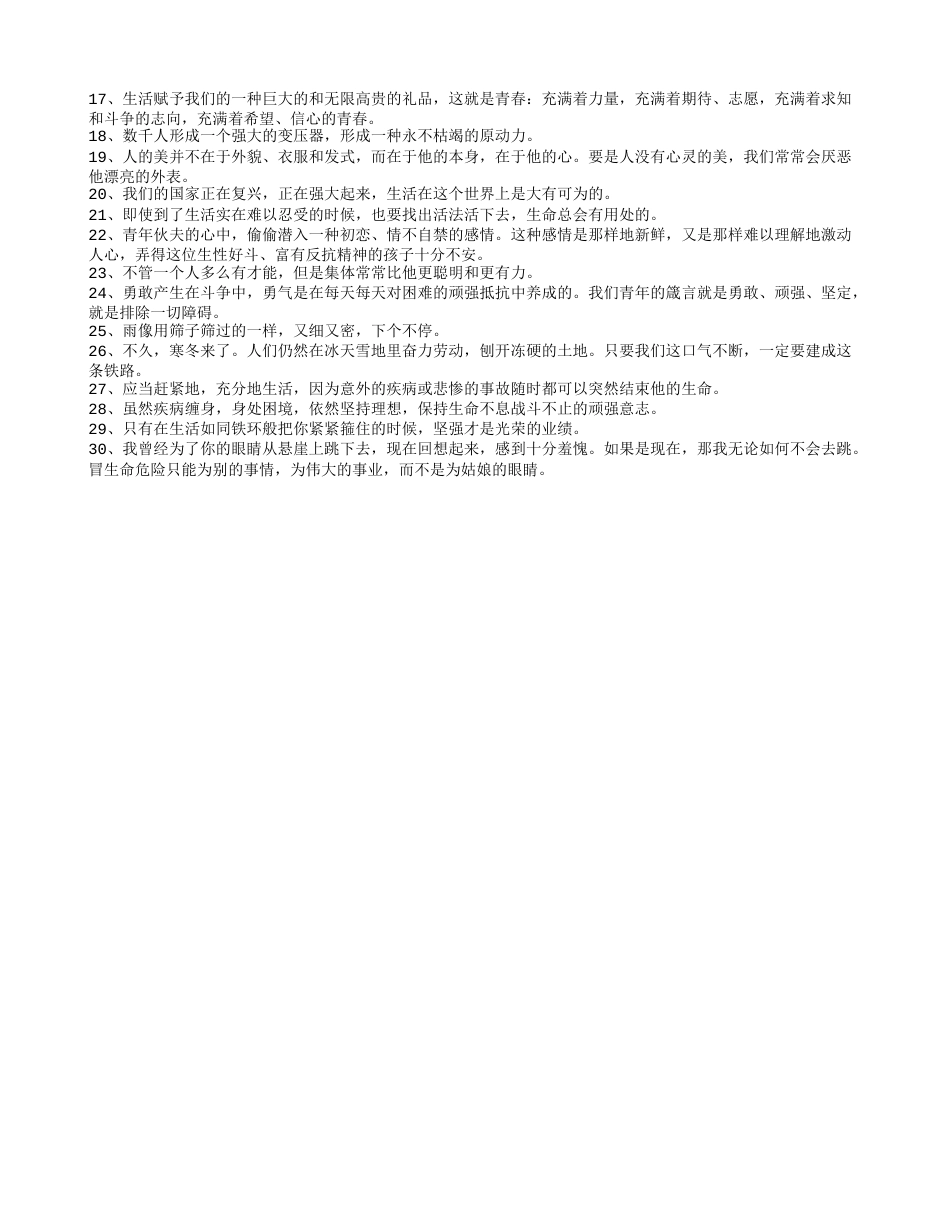 钢铁是怎样炼成的好词好句读书笔记摘抄及读后感书评.txt_第2页