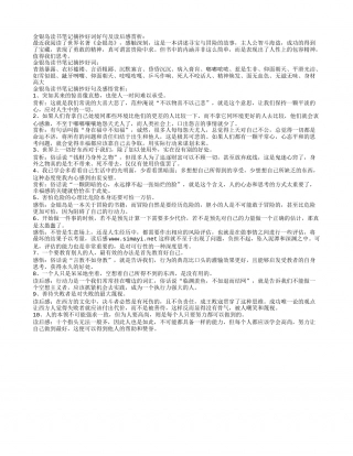 金银岛读书笔记摘抄好词好句及读后感赏析.txt