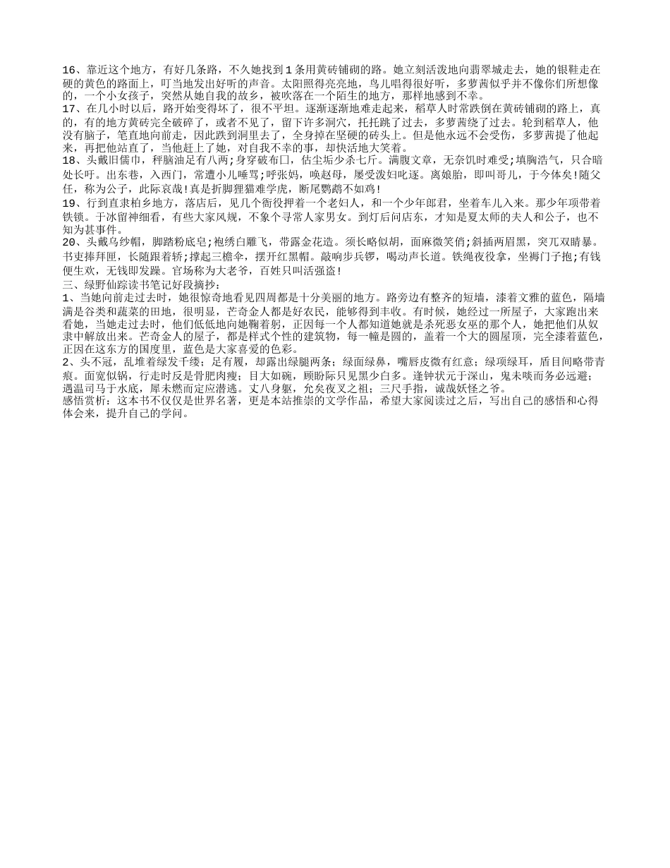 绿野仙踪好词好句好段读书笔记摘抄及感悟赏析.txt_第2页