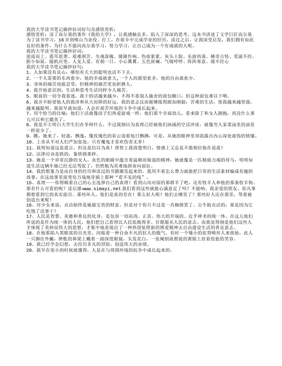 我的大学读书笔记摘抄好词好句及感悟赏析.txt_第1页