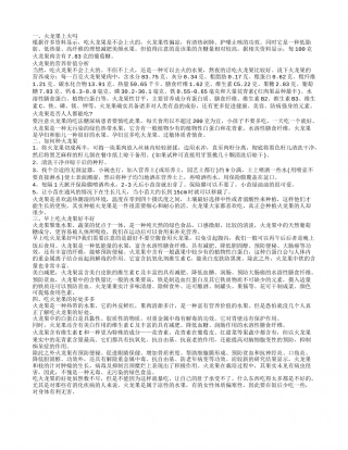 火龙果吃了会导致人上火吗 火龙果不能空腹食用.txt