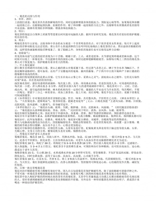 菊花的功效与作用 什么菊花最好.txt