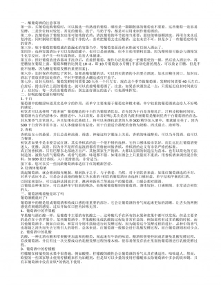 酿葡萄酒时要注意的东西 葡萄酒怎么选.txt