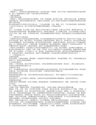 三伏贴会起泡吗 三伏贴为什么会起水泡.txt