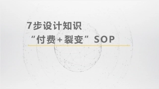 SOP-7步设计知识付费sop.pdf