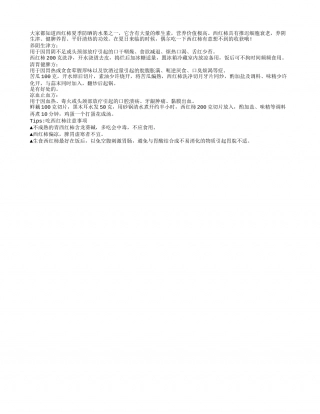 夏日养阴生津神仙果——西红柿盛夏.txt