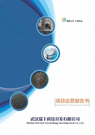 【国赛·创业实践类】武汉瑞干科技开发有限公司项目运营报告 .pdf