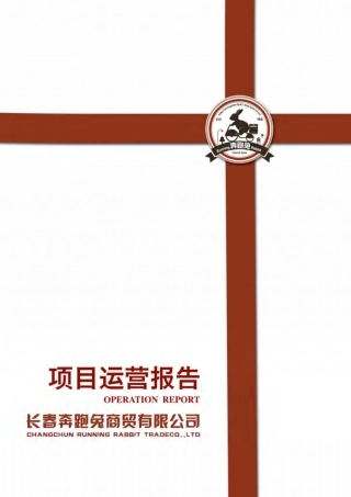 【国赛·创业实践类】长春市奔跑兔商贸有限公司项目运营报告 .pdf