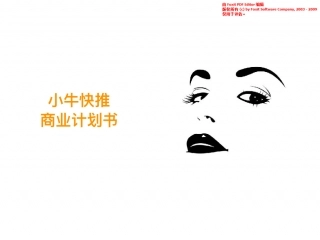 智能精准广告--小牛快推商业计划书。.pdf