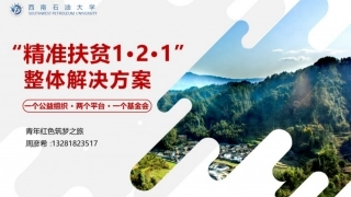 “精准扶贫1·2·1”整体解决方案.pptx