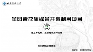 金阳青花椒综合开发利用项目_PPT【公众号：创赛指南】.pptx