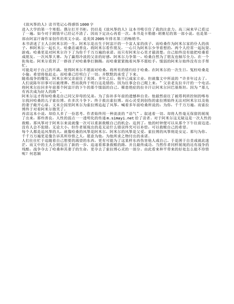 《放风筝的人》读书笔记心得感悟1000字.txt_第1页