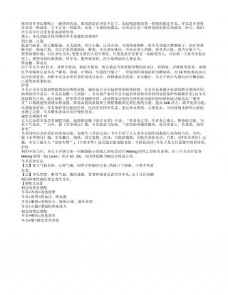 冬瓜冬季食 益气除烦助养生隆冬.txt