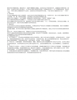 冬季吃营养价值豆腐脑可养生隆冬.txt